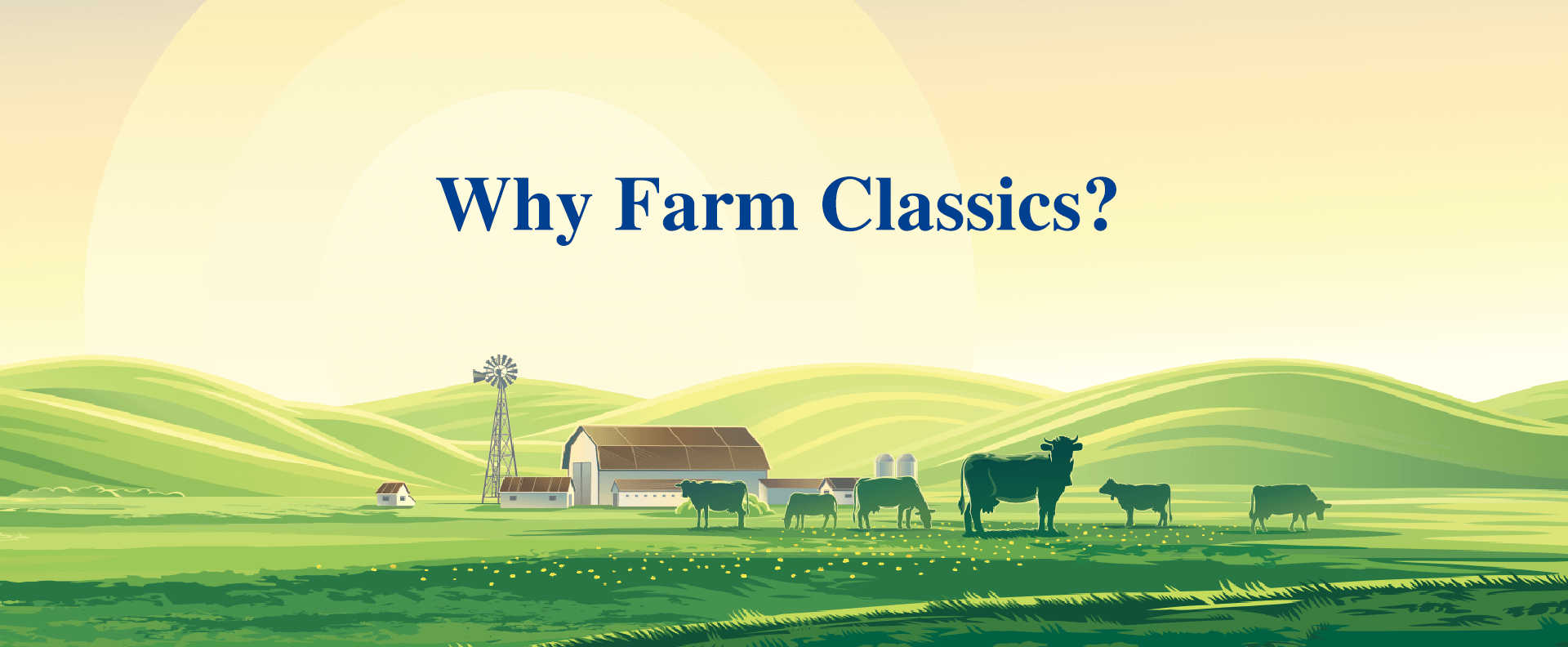 banner5.2-1920x792-4